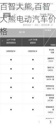 百智大熊,百智大熊电动汽车价格