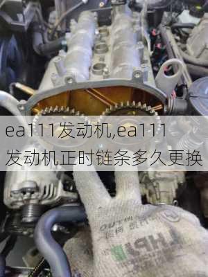 ea111发动机,ea111发动机正时链条多久更换