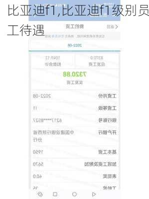 比亚迪f1,比亚迪f1级别员工待遇