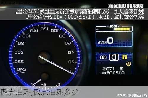 傲虎油耗,傲虎油耗多少