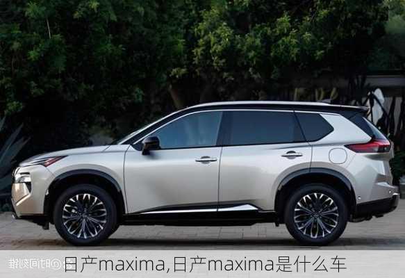 日产maxima,日产maxima是什么车