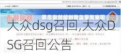 大众dsg召回,大众DSG召回公告