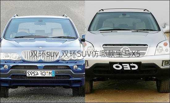 双环suv,双环SUV仿哪款宝马X5