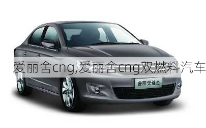 爱丽舍cng,爱丽舍cng双燃料汽车