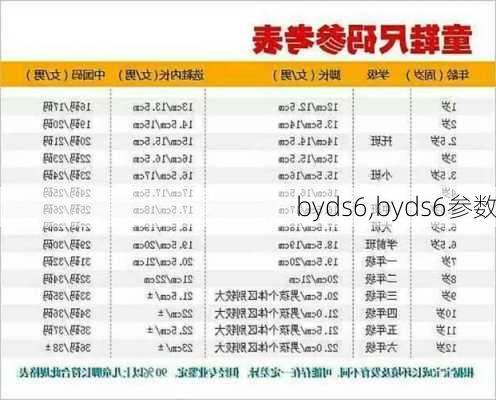 byds6,byds6参数