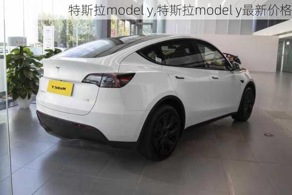 特斯拉model y,特斯拉model y最新价格