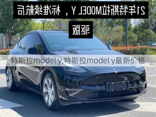 特斯拉model y,特斯拉model y最新价格