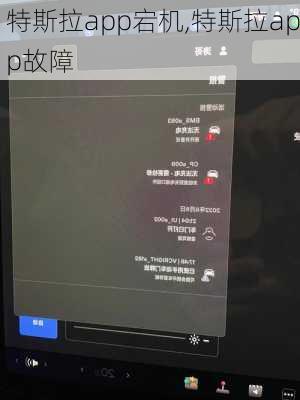 特斯拉app宕机,特斯拉app故障