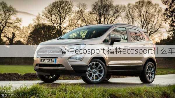 福特ecosport,福特ecosport什么车