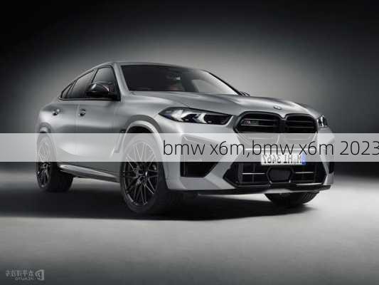 bmw x6m,bmw x6m 2023