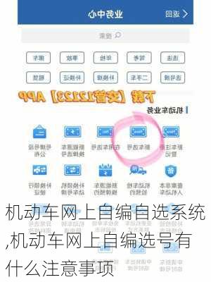 机动车网上自编自选系统,机动车网上自编选号有什么注意事项