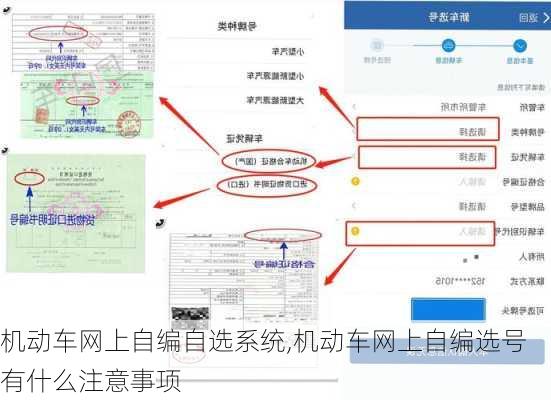 机动车网上自编自选系统,机动车网上自编选号有什么注意事项