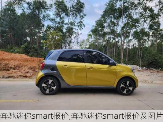 奔驰迷你smart报价,奔驰迷你smart报价及图片