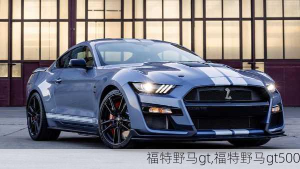 福特野马gt,福特野马gt500