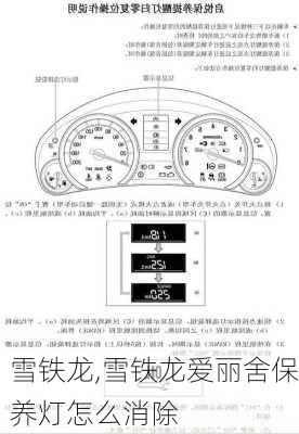 雪铁龙,雪铁龙爱丽舍保养灯怎么消除