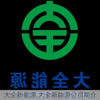 大全新能源,大全新能源公司简介