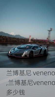 兰博基尼 veneno,兰博基尼veneno多少钱