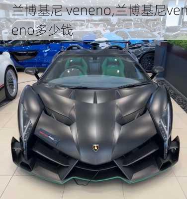 兰博基尼 veneno,兰博基尼veneno多少钱