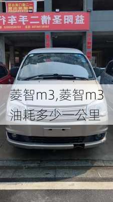 菱智m3,菱智m3油耗多少一公里