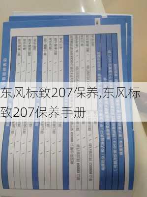 东风标致207保养,东风标致207保养手册