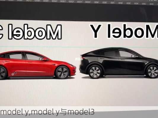 model y,model y与model3