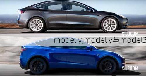 model y,model y与model3