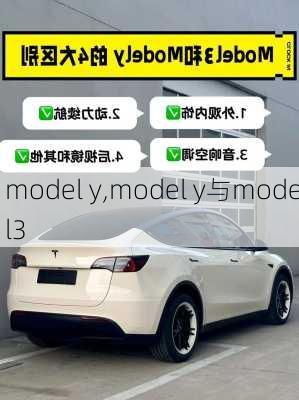 model y,model y与model3