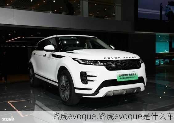 路虎evoque,路虎evoque是什么车