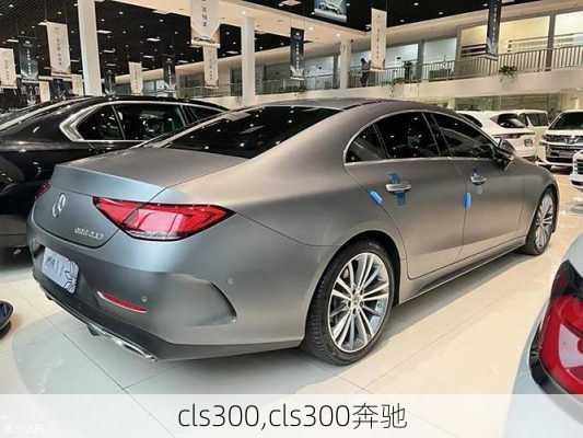 cls300,cls300奔驰