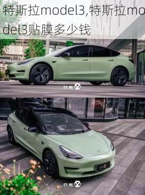 特斯拉model3,特斯拉model3贴膜多少钱