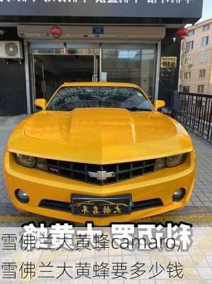 雪佛兰大黄蜂camaro,雪佛兰大黄蜂要多少钱