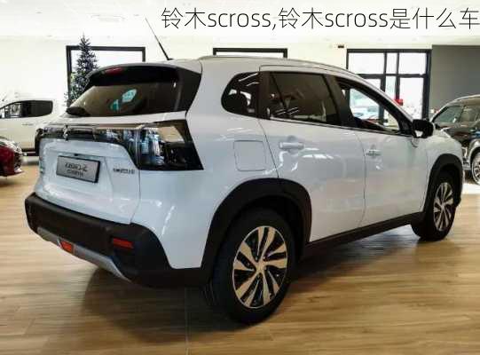 铃木scross,铃木scross是什么车