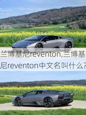 兰博基尼reventon,兰博基尼reventon中文名叫什么?