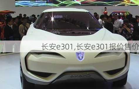 长安e301,长安e301报价售价