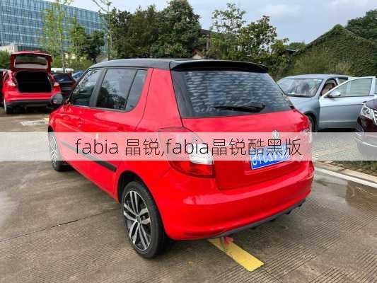 fabia 晶锐,fabia晶锐酷黑版