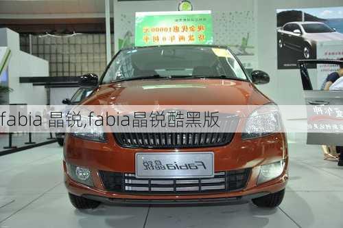 fabia 晶锐,fabia晶锐酷黑版