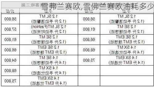 雪弗兰赛欧,雪佛兰赛欧油耗多少