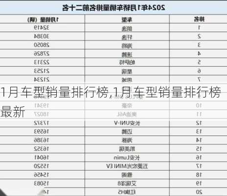 1月车型销量排行榜,1月车型销量排行榜最新