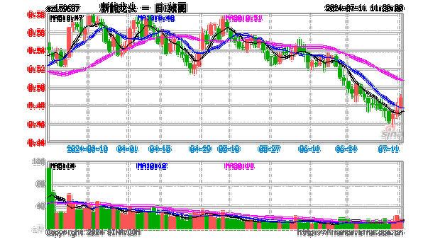 09年新能源汽车龙头股,09年新能源汽车龙头股票