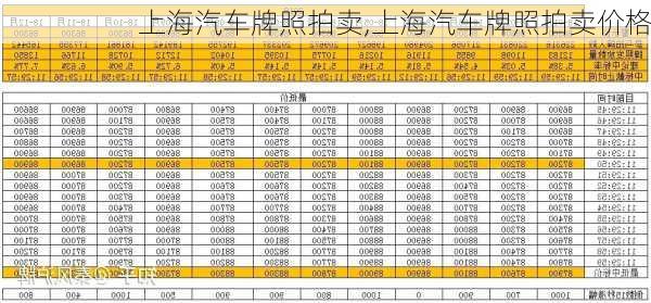 上海汽车牌照拍卖,上海汽车牌照拍卖价格