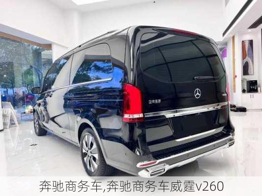 奔驰商务车,奔驰商务车威霆v260