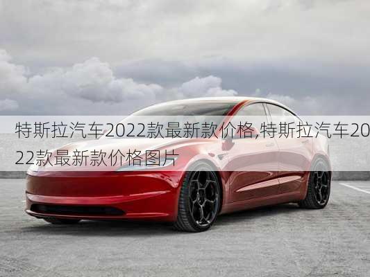 特斯拉汽车2022款最新款价格,特斯拉汽车2022款最新款价格图片