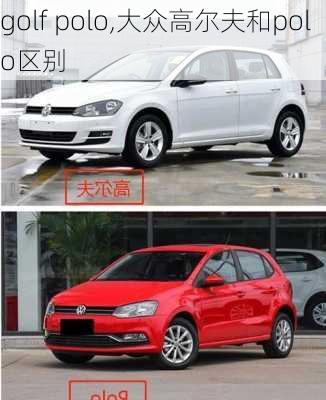 golf polo,大众高尔夫和polo区别