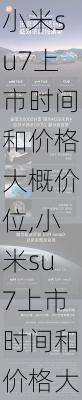 小米su7上市时间和价格大概价位,小米su7上市时间和价格大概价位是多少