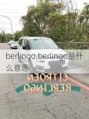 berlingo,berlingo是什么意思