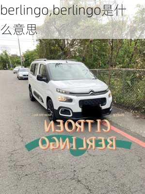 berlingo,berlingo是什么意思