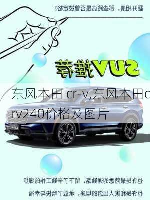 东风本田 cr-v,东风本田crv240价格及图片