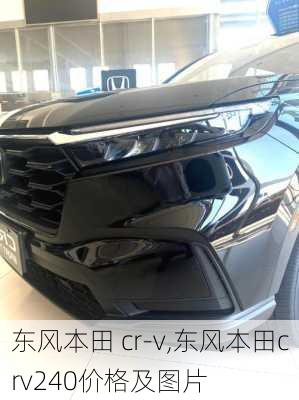 东风本田 cr-v,东风本田crv240价格及图片