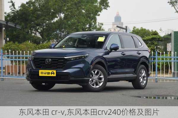 东风本田 cr-v,东风本田crv240价格及图片