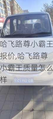 哈飞路尊小霸王报价,哈飞路尊小霸王质量怎么样